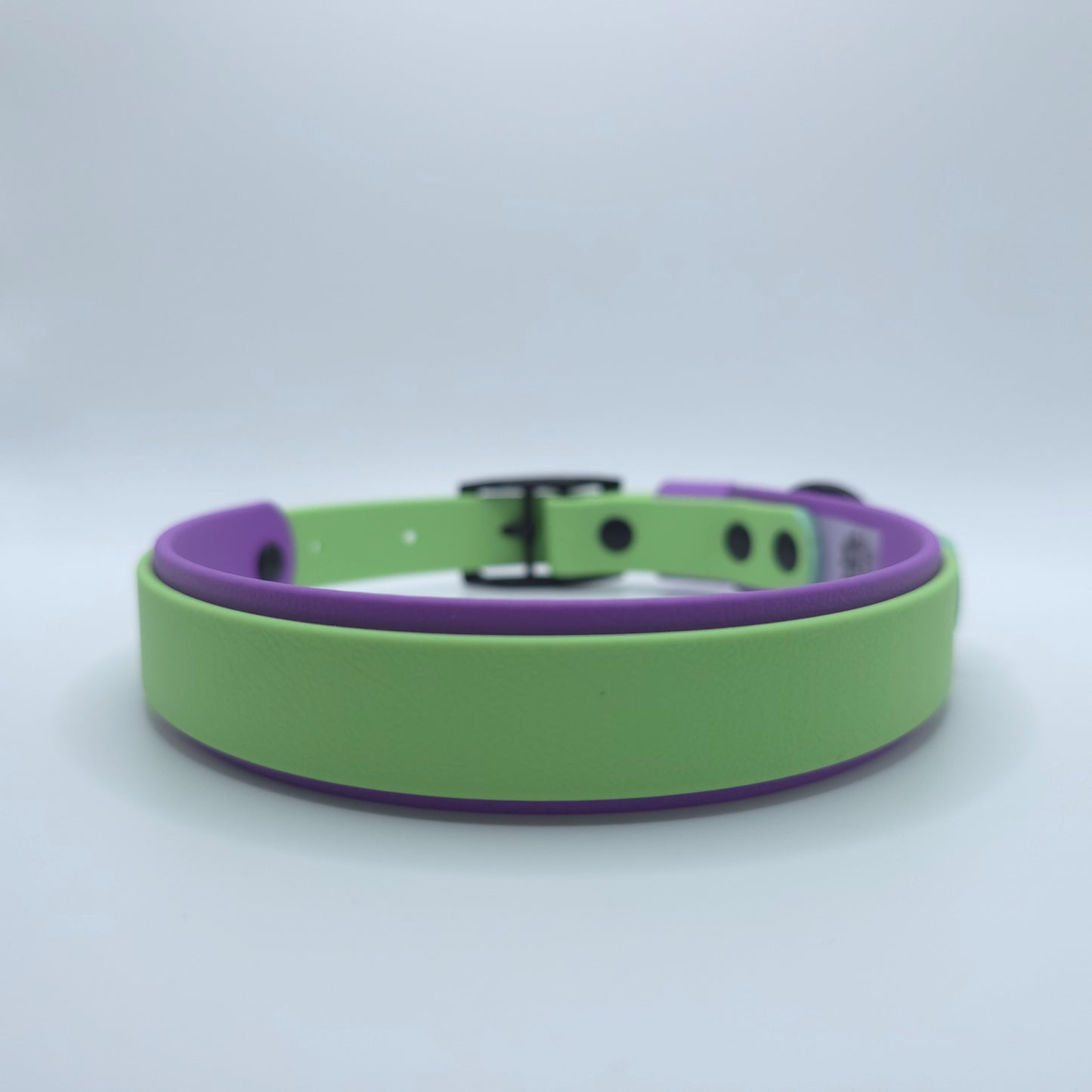 Halloween Classic Collection Ready To Ship Collars