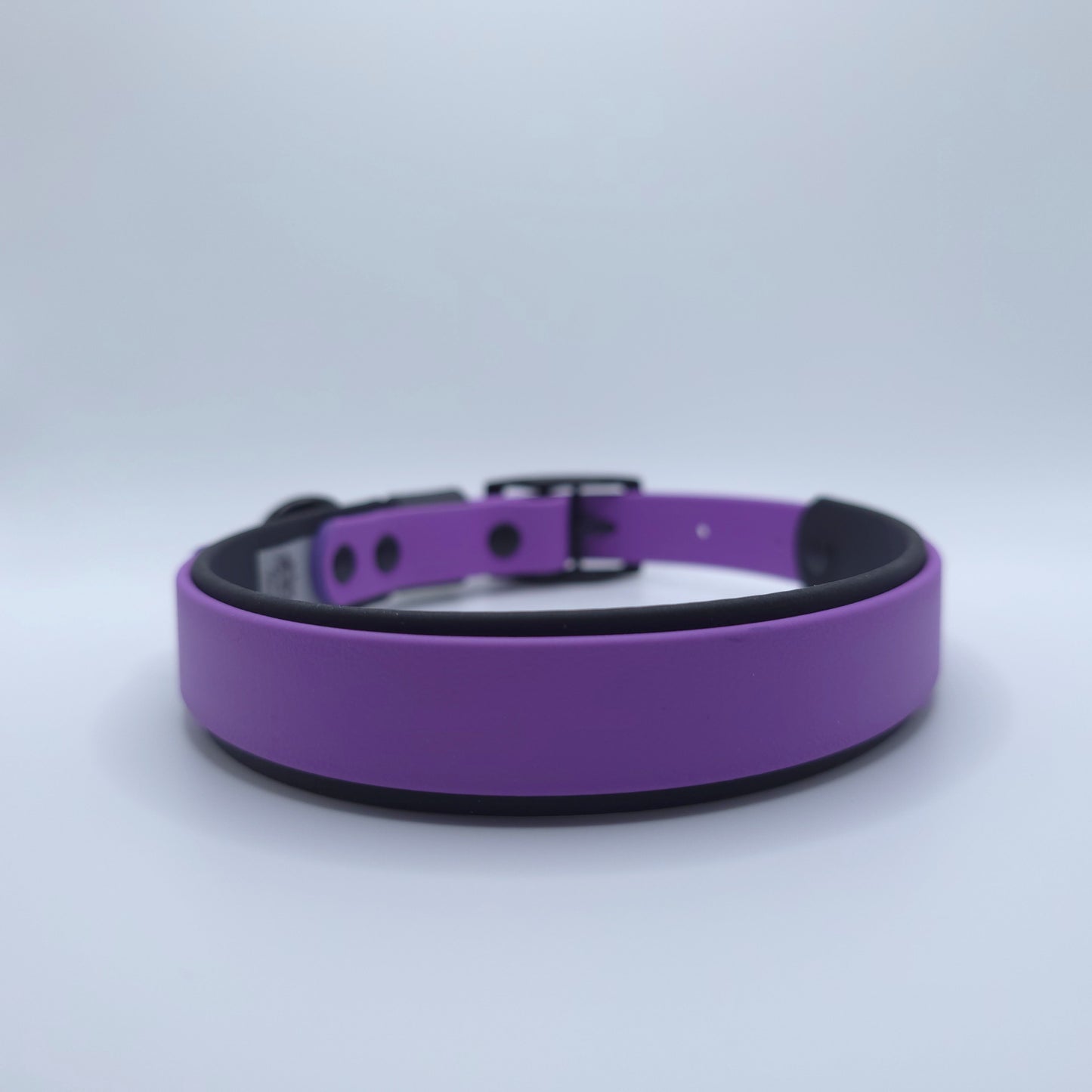 Halloween Classic Collection Ready To Ship Collars