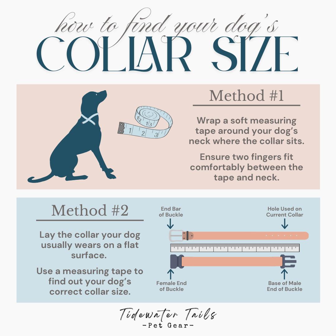 Ziggy Collection, BioThane Collar with Crystals