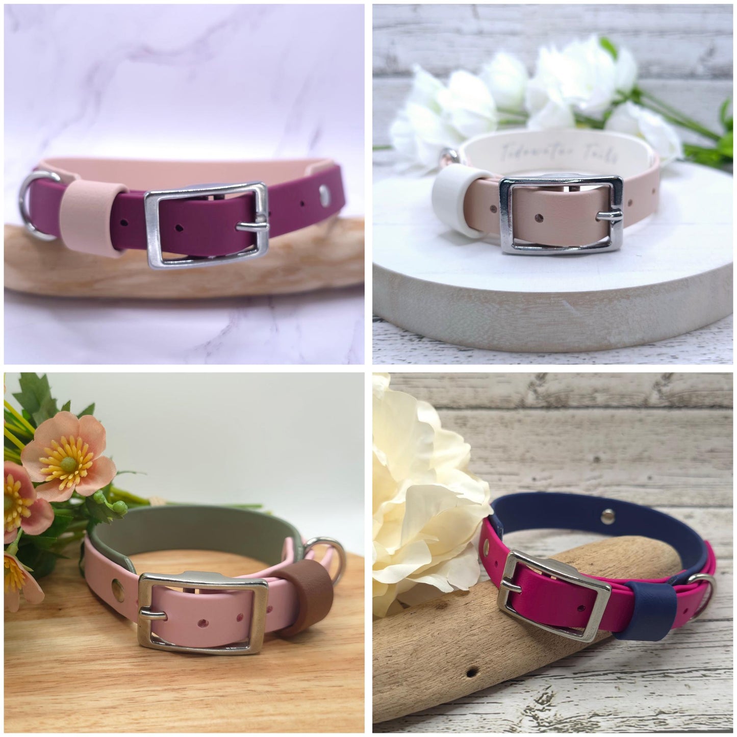 Classic Buckle Two-Tone BioThane Dog Collar
