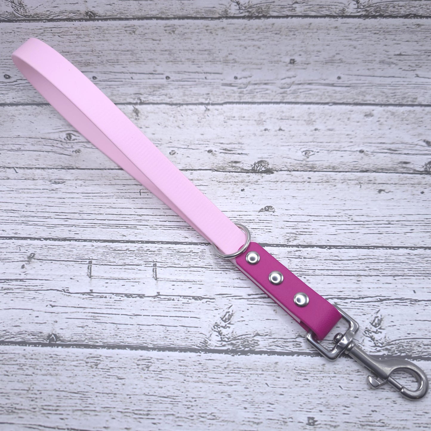 Two-Tone Traffic Leash