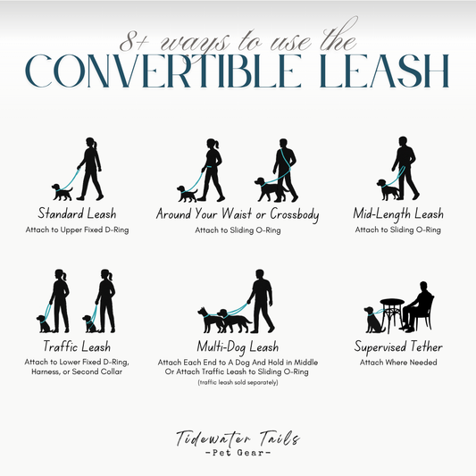 Convertible Leash