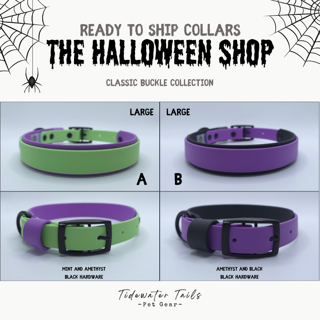 Halloween Classic Collection Ready To Ship Collars