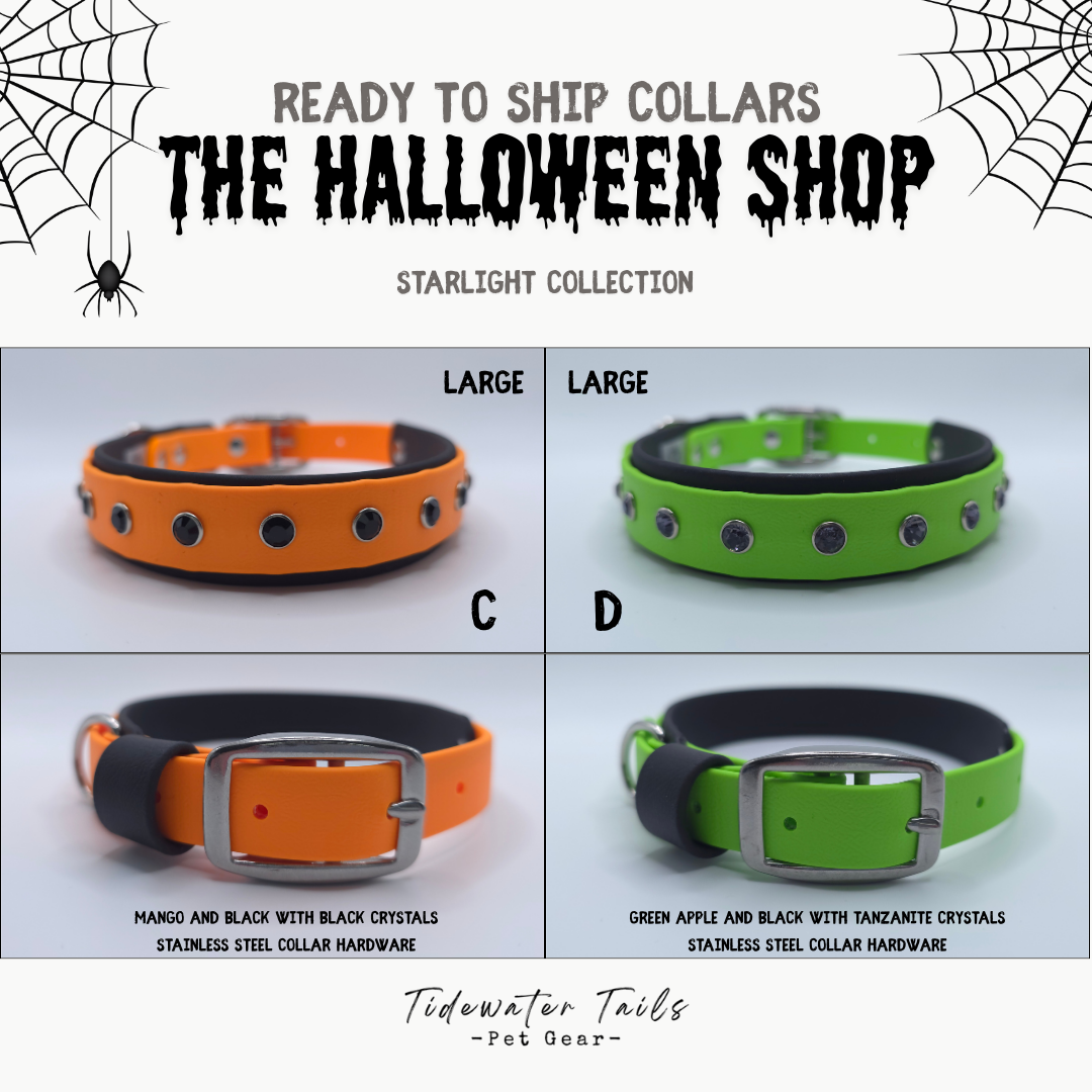 Halloween Starlight Collection Ready To Ship Collars