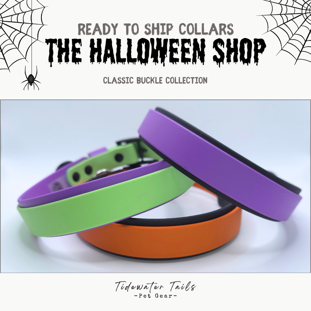 Halloween Classic Collection Ready To Ship Collars