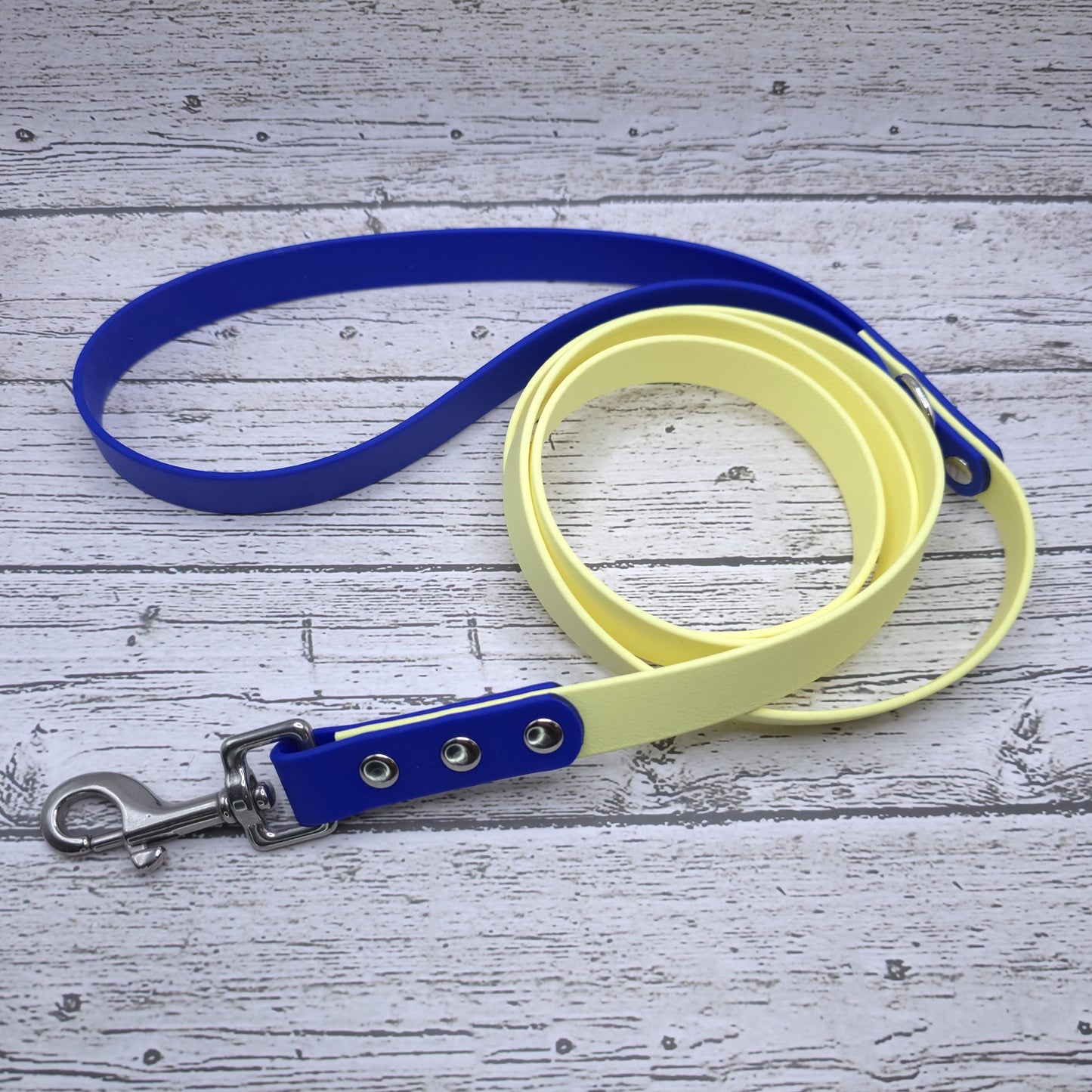 Standard Two-Tone Leash