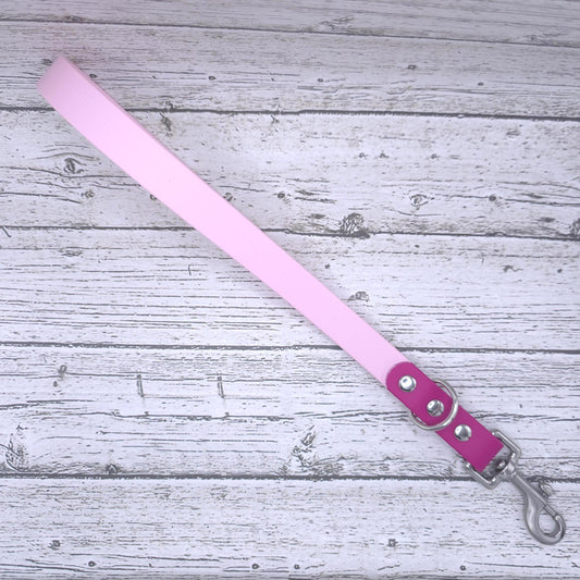 Two-Tone Traffic Leash