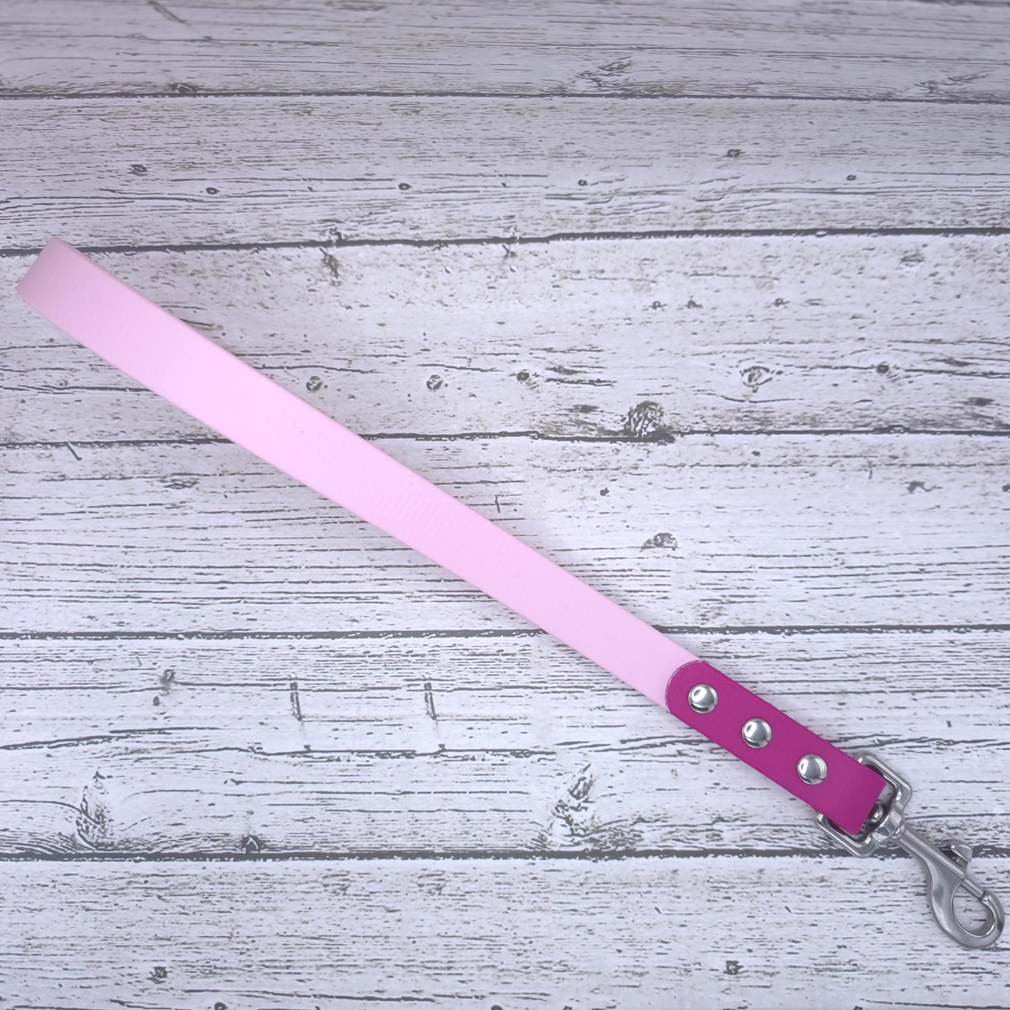 Two-Tone Traffic Leash