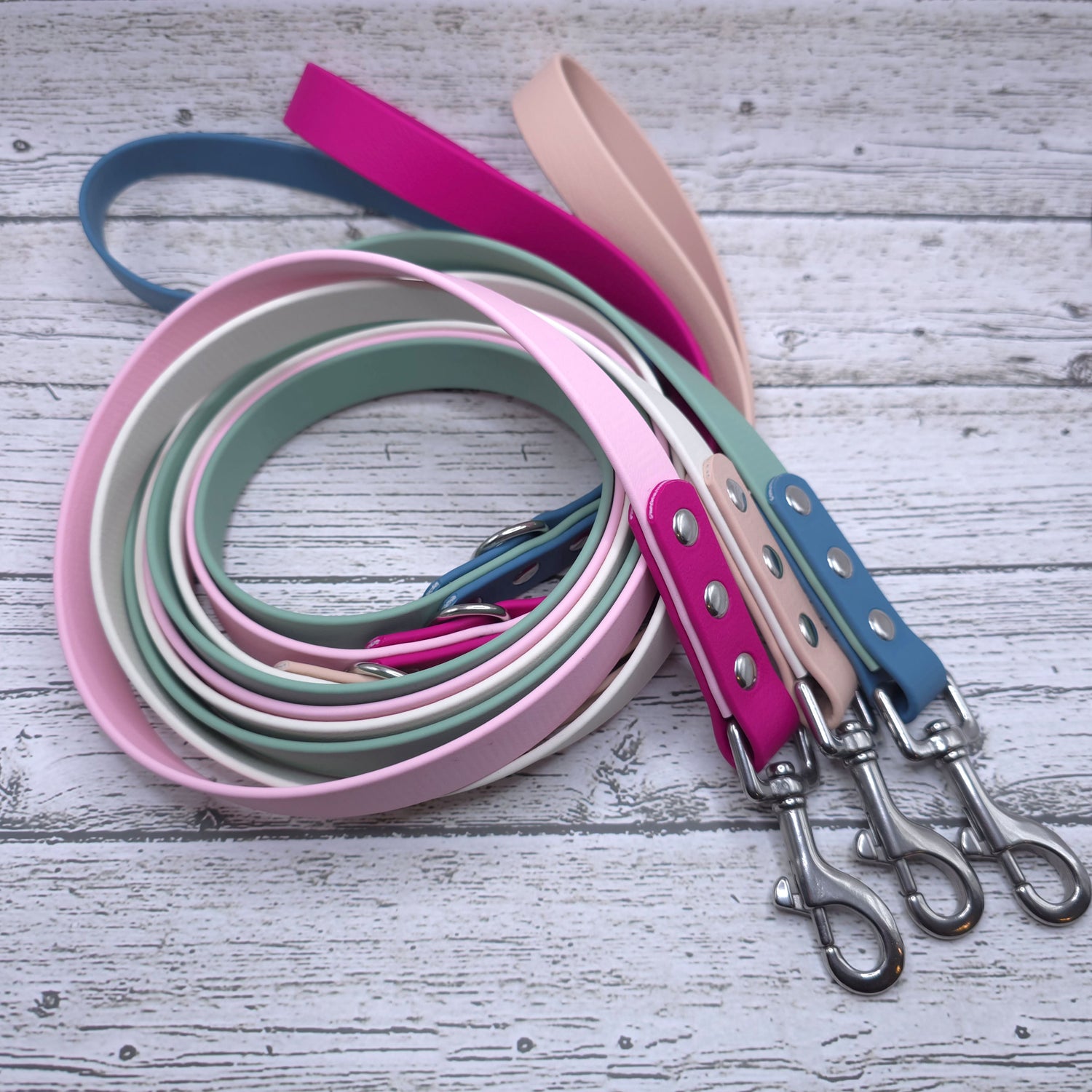Leashes