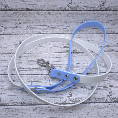 Standard 3/4" Two-Tone Leash