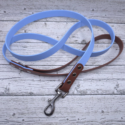 Standard 3/4" Two-Tone Leash
