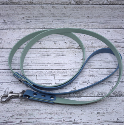 Standard 3/4" Two-Tone Leash