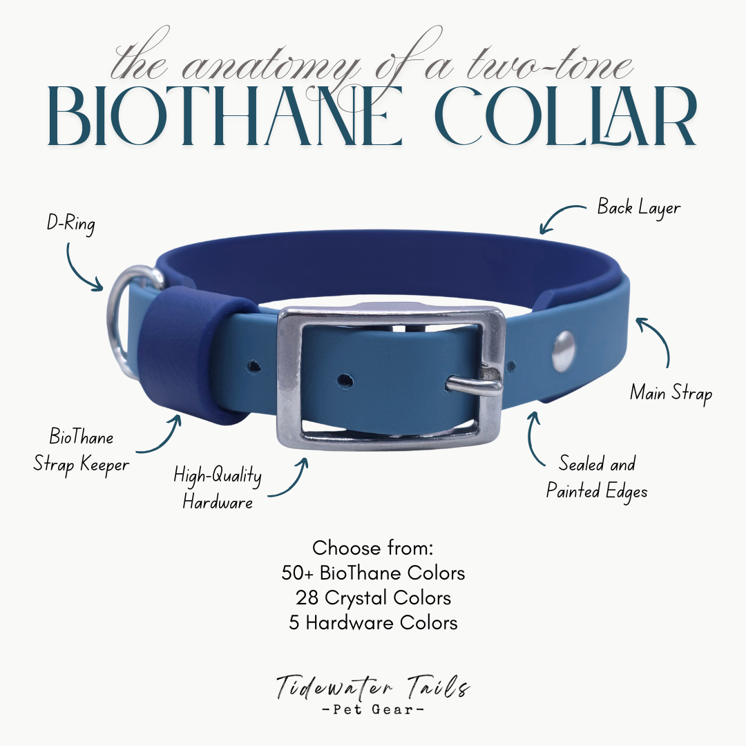 Blue BioThane collar with labeled parts on a white background