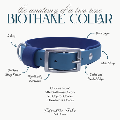 Blue BioThane collar with labeled parts on a white background
