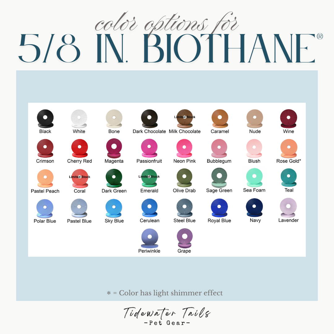 Standard 5/8" Two-Tone Leash