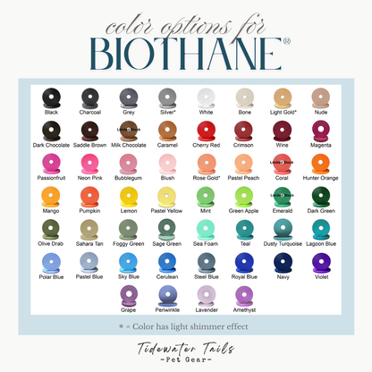 Standard 3/4" Two-Tone Leash