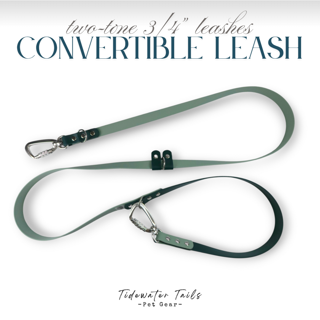 Two-tone 3/4" wide convertible dog leash on a white background.