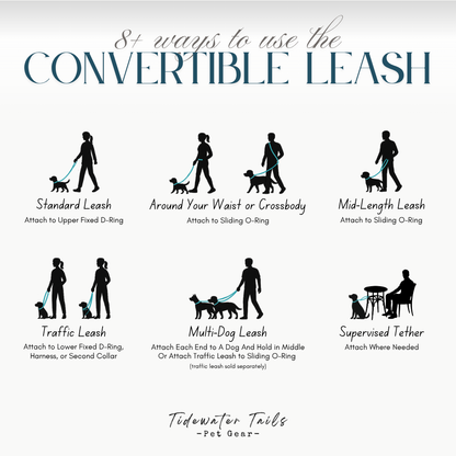 Convertible Leash