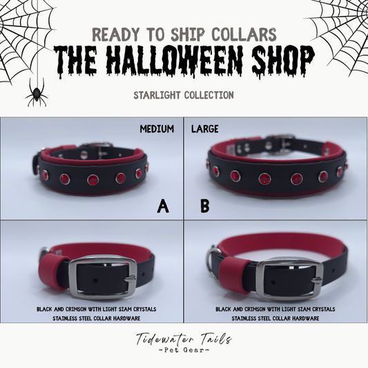 Halloween Starlight Collection Ready To Ship Collars