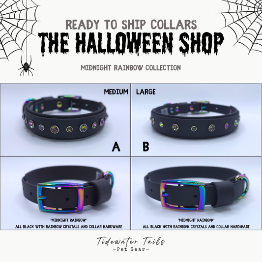 Halloween Midnight Rainbow Collection Ready To Ship Collars