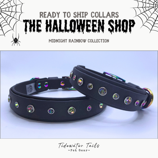 Halloween Midnight Rainbow Collection Ready To Ship Collars