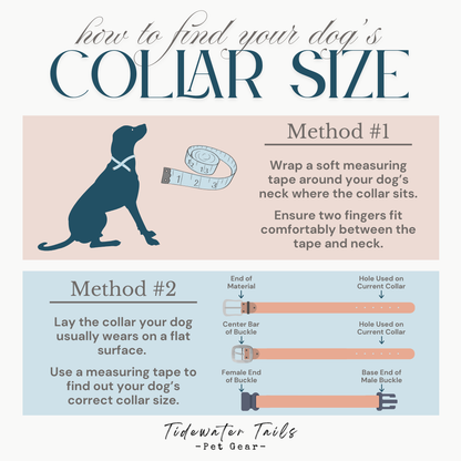 Infographic on how to find your dog's collar size with text and illustrations.