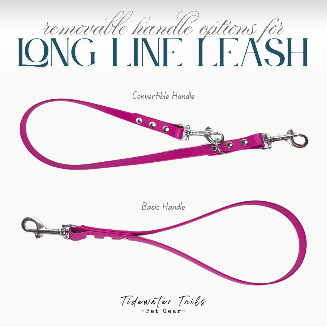 Long Line Leash