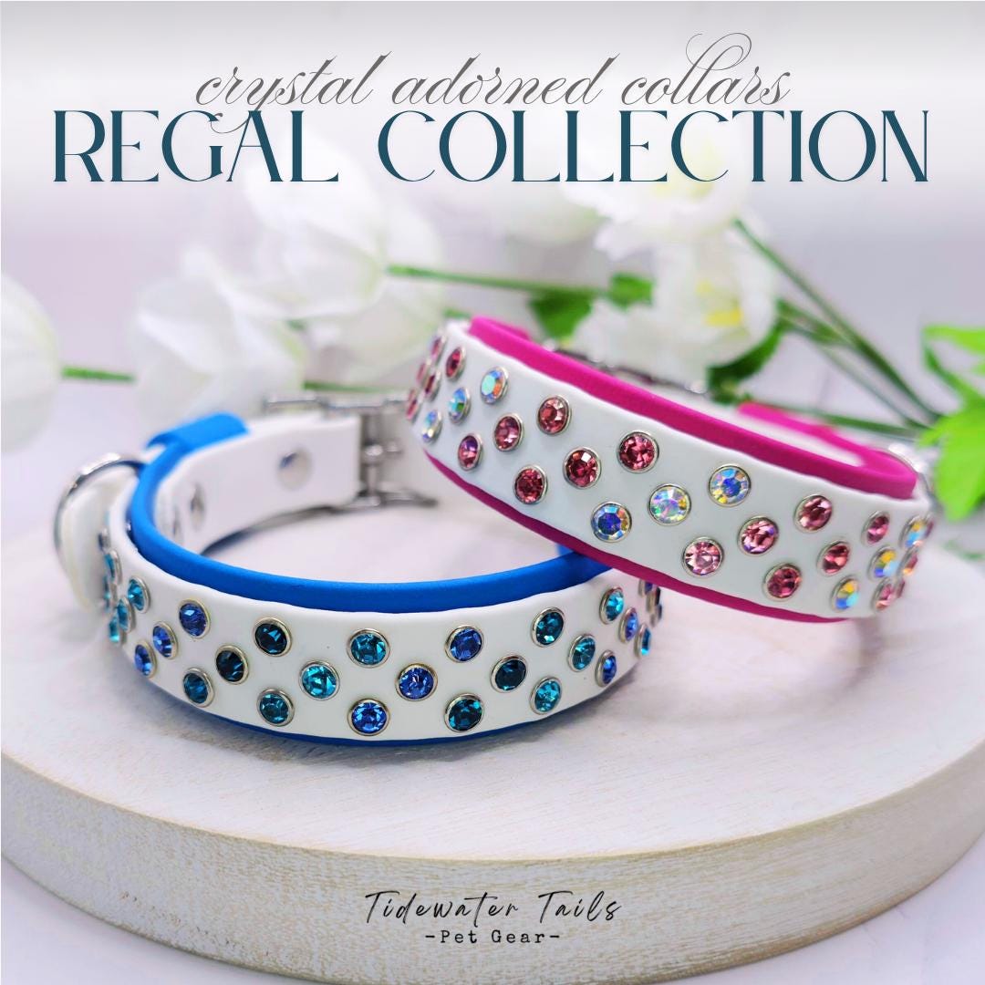 Two crystal-adorned dog collars on light surface with flowers in the background featuring the "Regal Collection'" design.