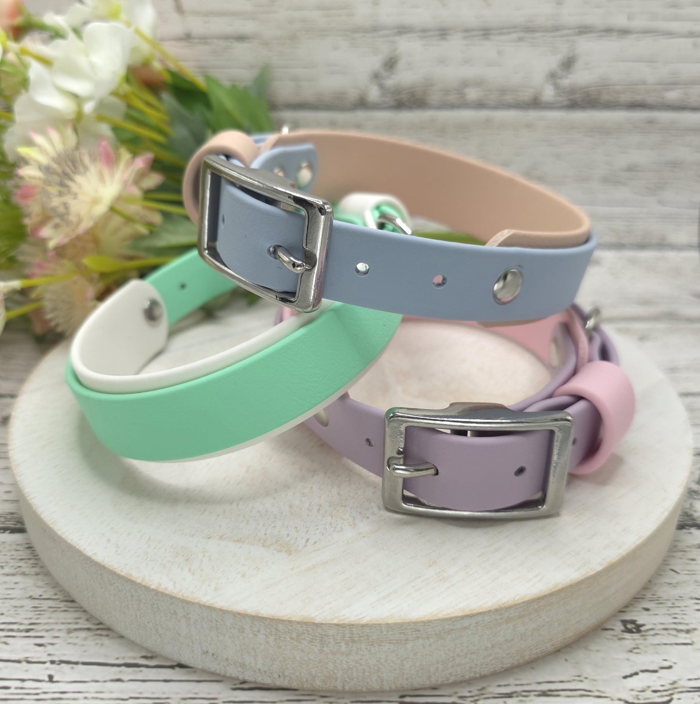 Classic Buckle Two-Tone BioThane Dog Collar
