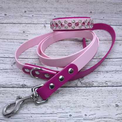 Standard 3/4" Two-Tone Leash