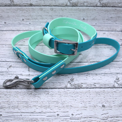 Standard 3/4" Two-Tone Leash