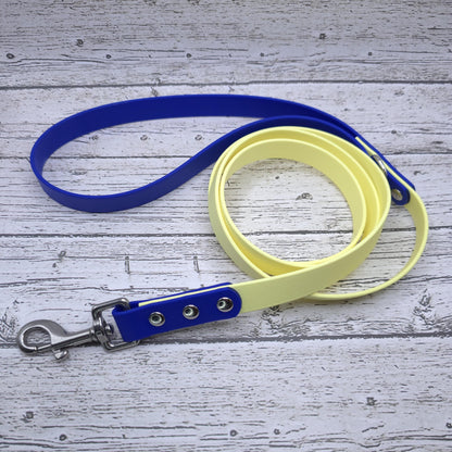 Standard 3/4" Two-Tone Leash