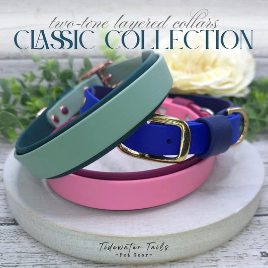 Classic Buckle Two-Tone BioThane Dog Collar
