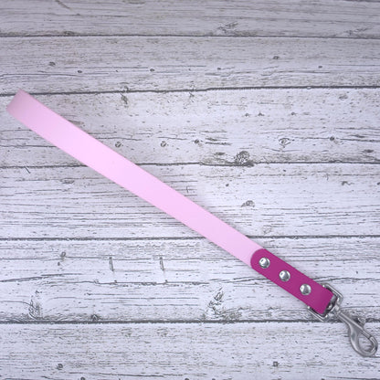 Two-Tone 3/4" Traffic Leash